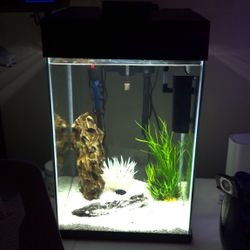 10 gallon vertical fish tank 