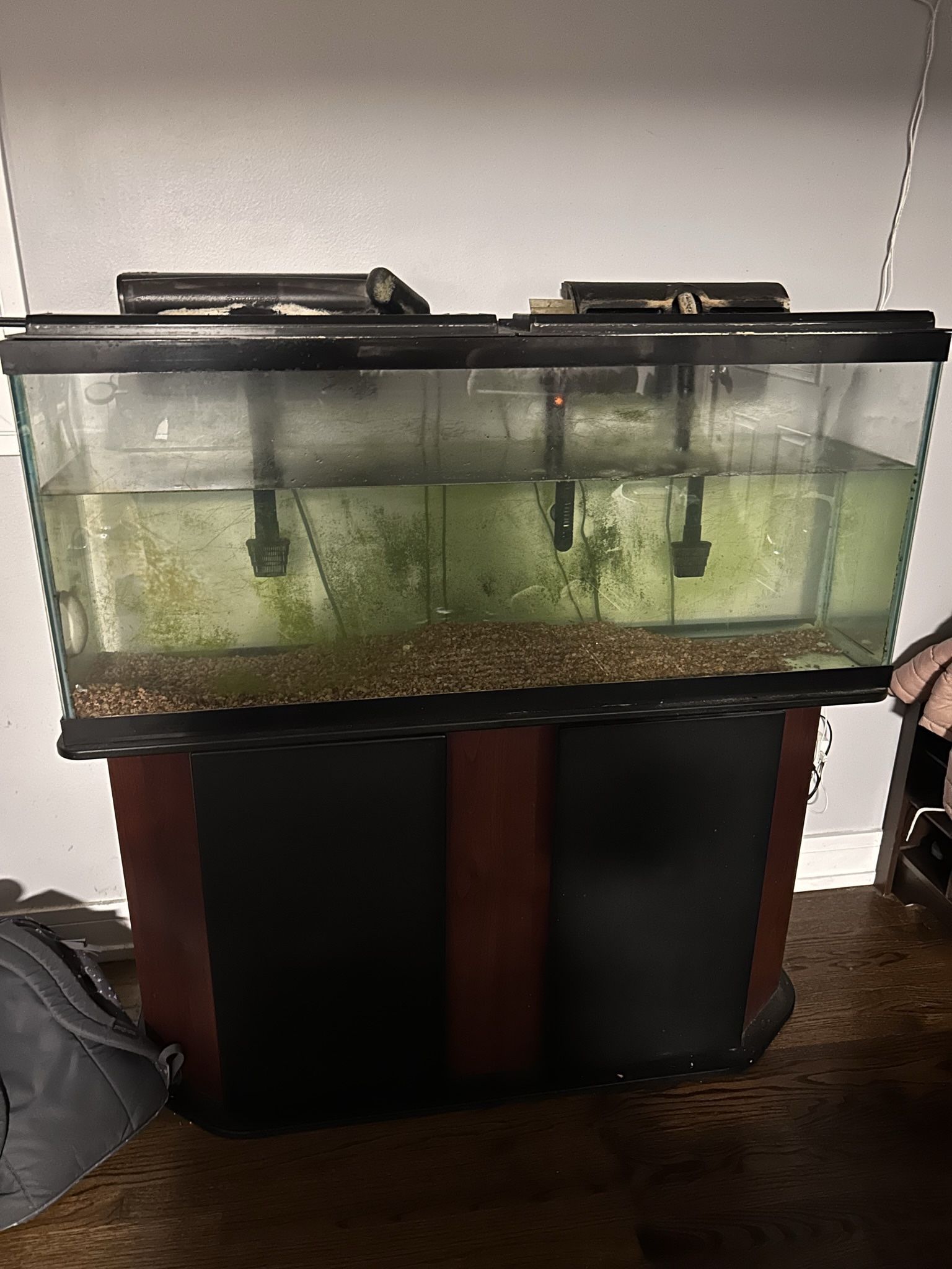 55 Gallon With Stand And Extras