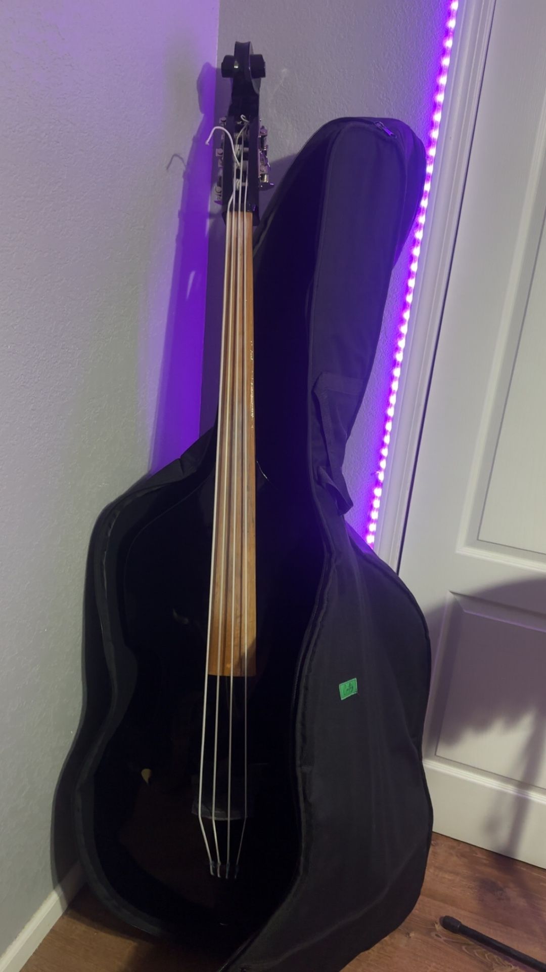 Tololoche/Up Right Bass Y Bajo Eléctrico/electric Bass