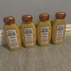 Garnier Whole Blends Shampoo 