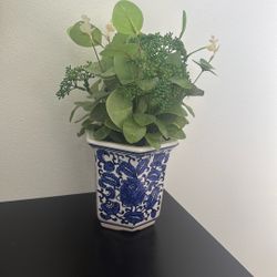 Artificial Decor Plants with Blue design Ceramic.