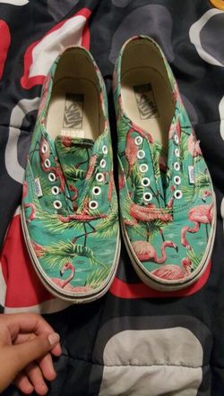 Flamingo Vans