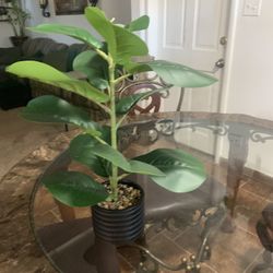 Fake Plant