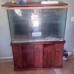 fish tank 