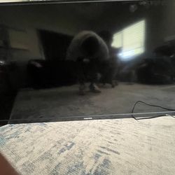 50inch