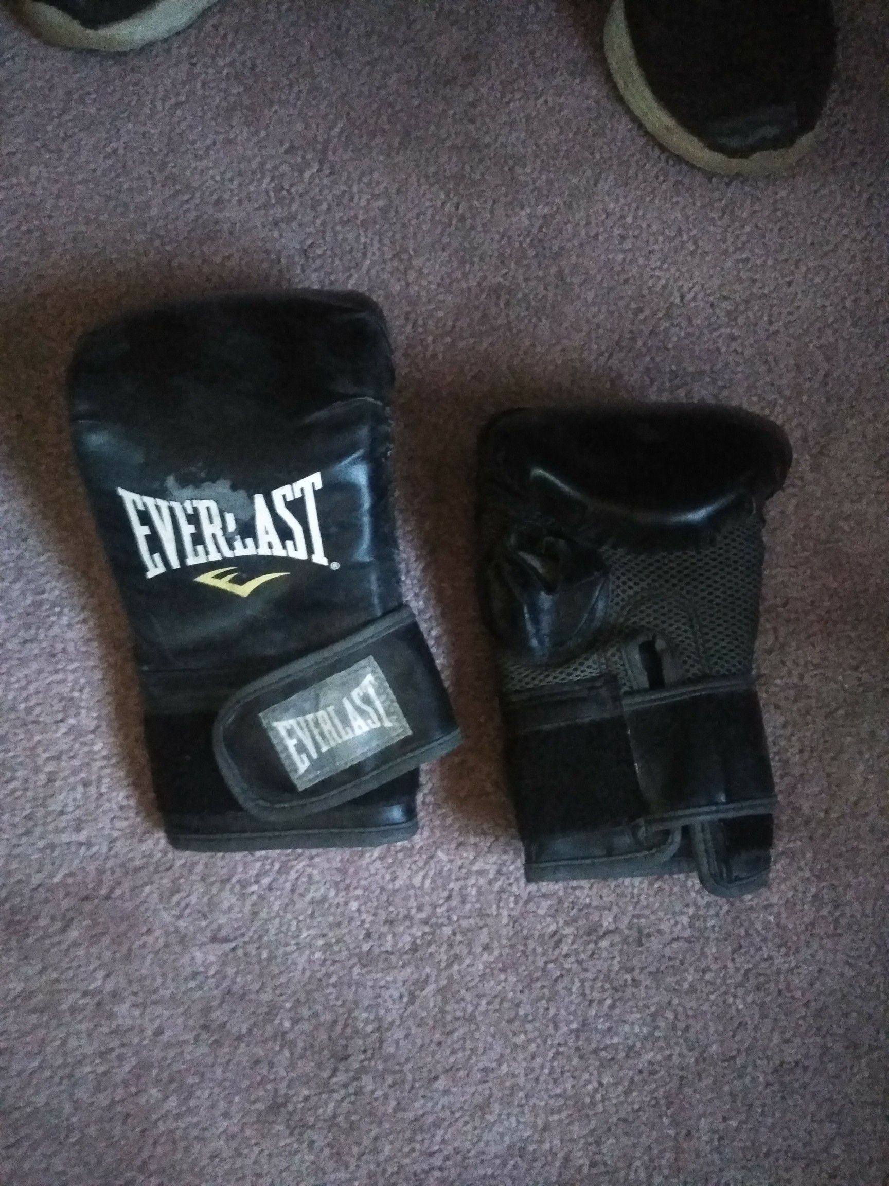 Everlast workout gloves