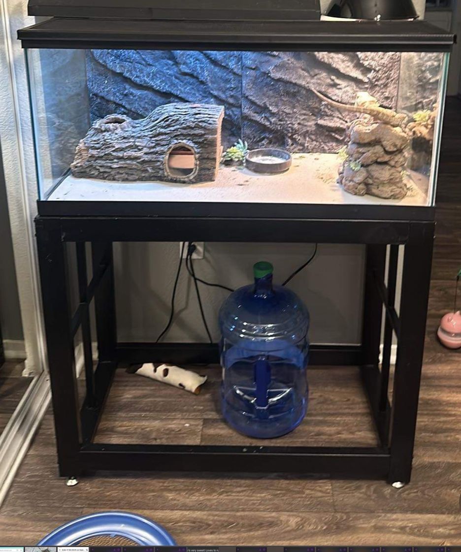 40 gallon Tank for fish or reptiles with stand