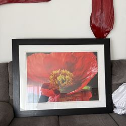 Large Framed Print