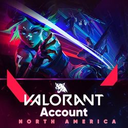 25-100 Random Skins Valorant