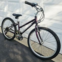 21spd SCHWINN FRONTIER Touring all Terrain 24" Comfort MTB bike