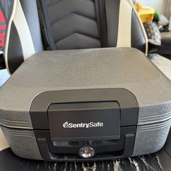Sentry Safe 