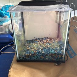 betta Fish Tank 2.5 Gallon