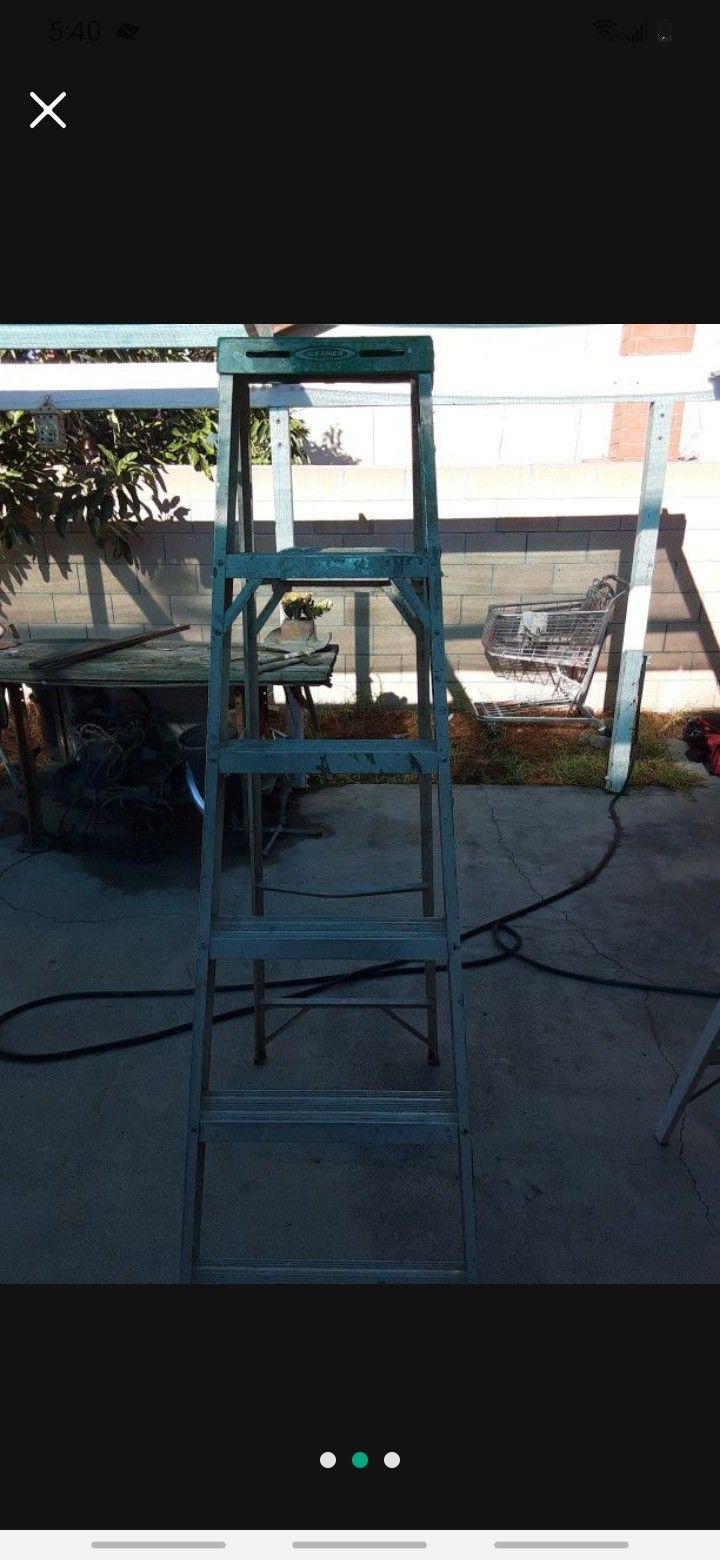 6ft Werner Ladder