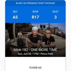Blink 182 Premium Tickets June 30th