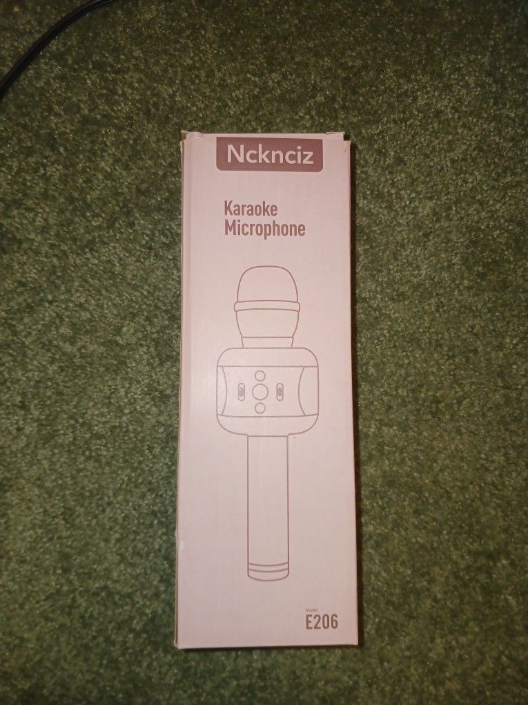 Karaoke Microphone