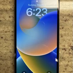 Apple iPhone X - 64GB Silver & Case