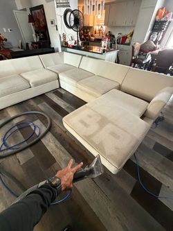Shampoo couch cleaning