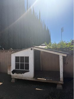 Chicken Coop / Gallinero