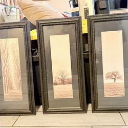 3 Picture Art  Frames 