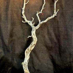 Top Quality Drift Wood 