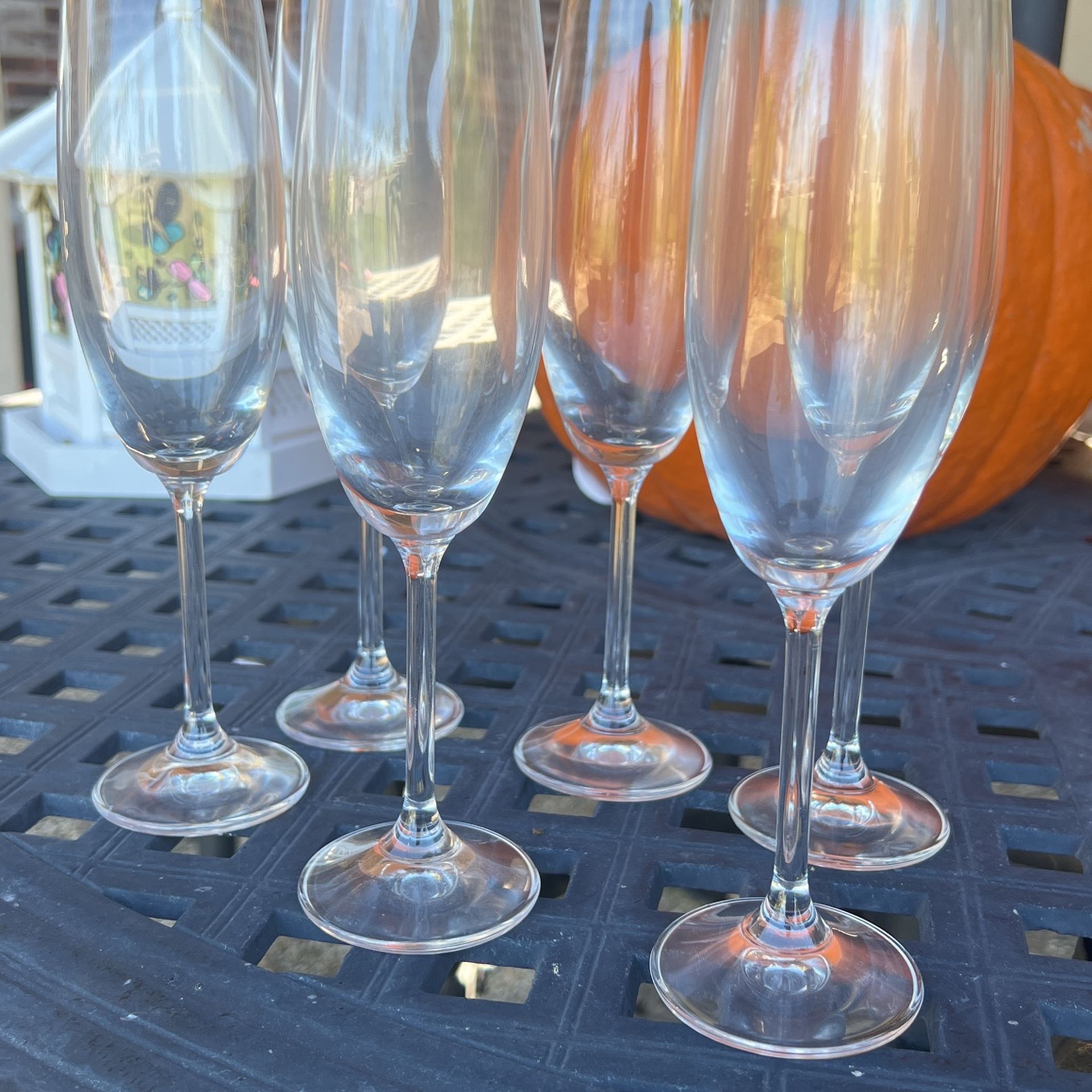 pack of 6 champagne flutes