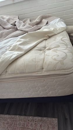 Free queen mattress