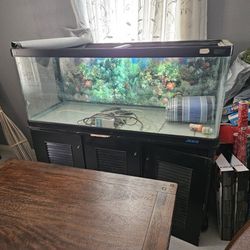 Big Fish Tank