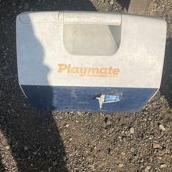 Igloo playmate cooler