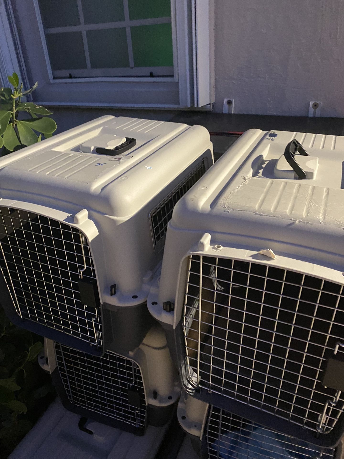 9 Dog Crates Transport