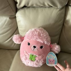 Squishmallow Poodle Chloe