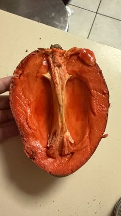 Fruta de Mamey ( De Alta Calidad )