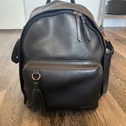 Skip Hop Baby Bag