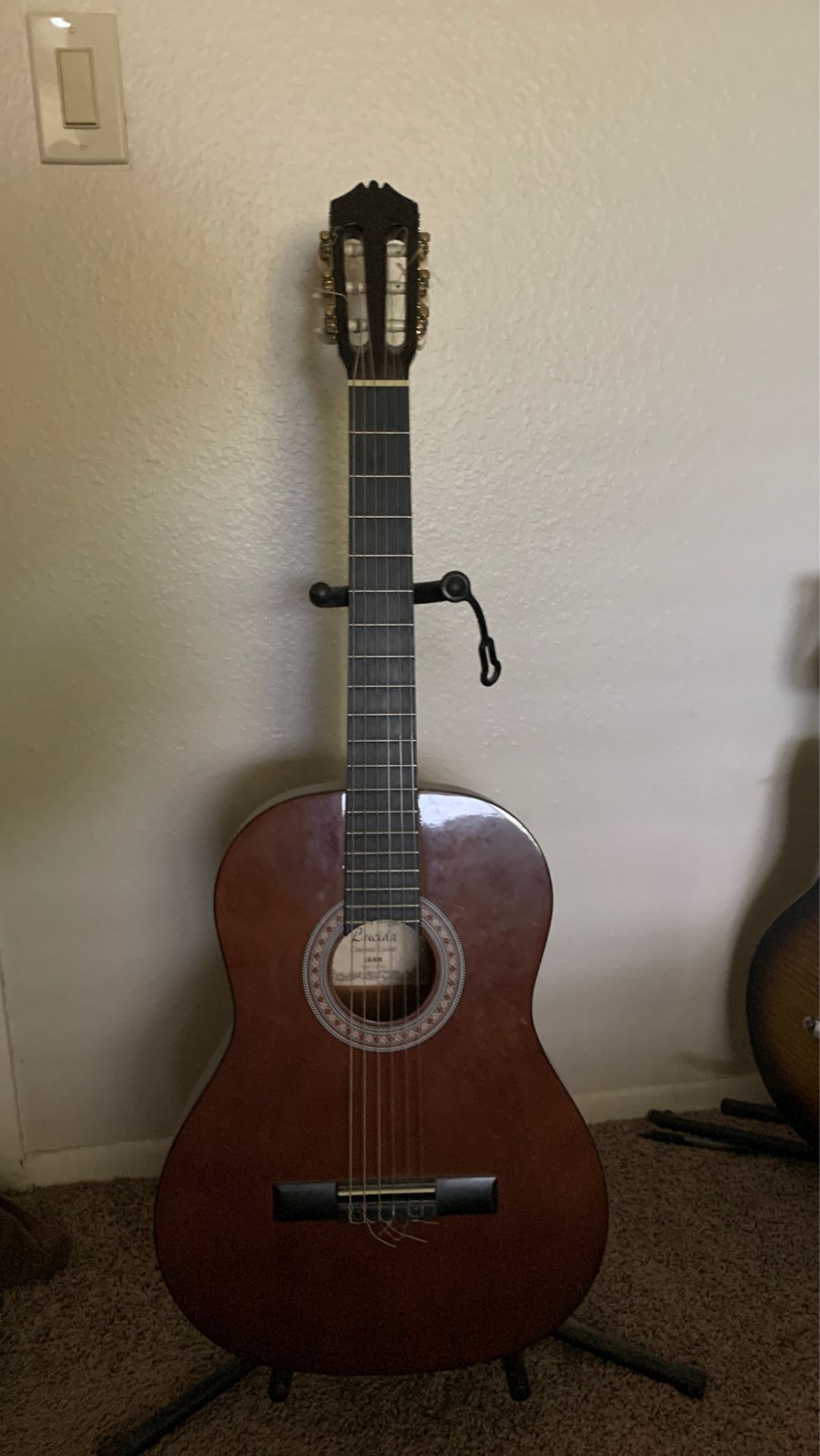 Acoustic guitar with acoustic pickup