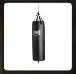 Everlast 80 pound boxing bag