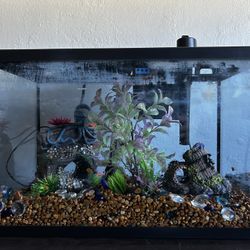 fish tank 10 gallons 