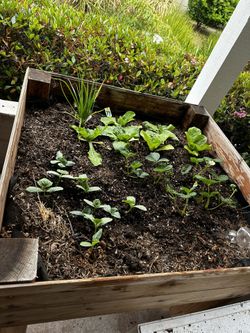 Standing Planter