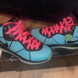 9.5 NIKE LEBRON VIII QS (south beach)