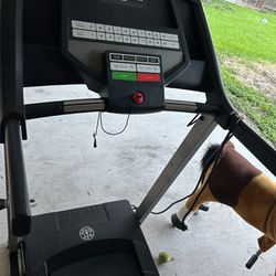 Treadmill And Barbell Rack