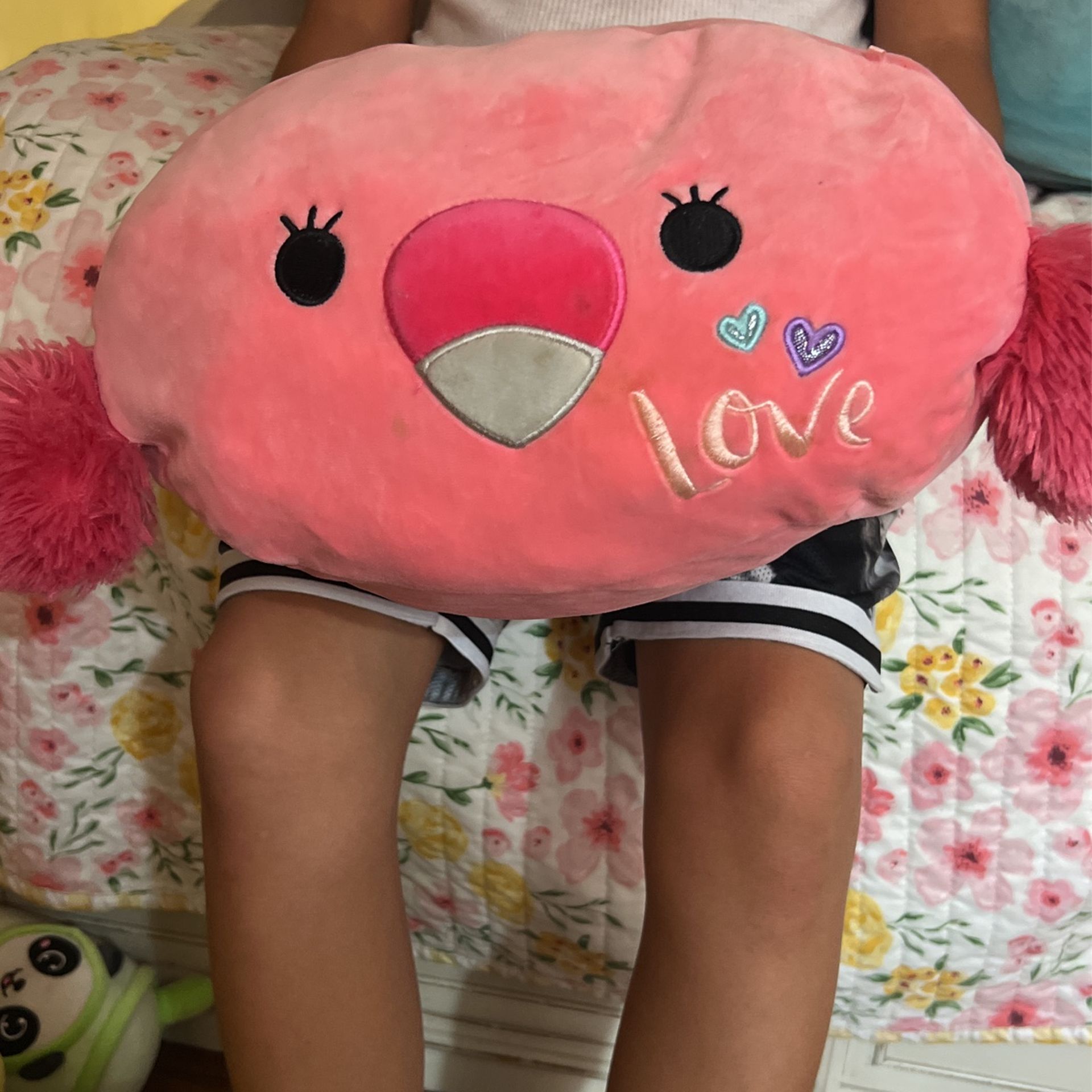 Parrot Squishmallow