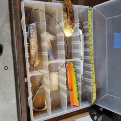 Saltwater Lures With Case 25