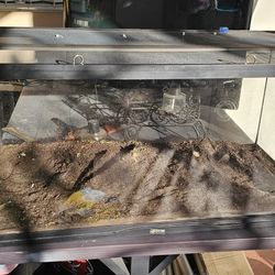 40 Gallon Terrarium With Lid
