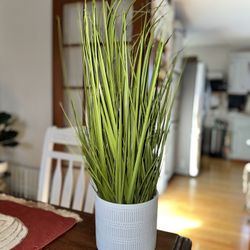 Artificial Plan for Decoration