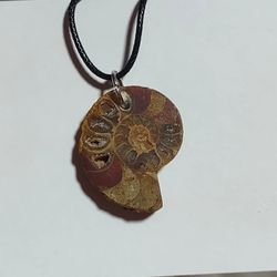 ammolite necklace 