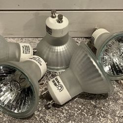 5 Pack Shielded GU10 50 Watt Halogen Bulbs