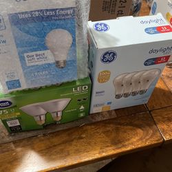 Light Bulbs