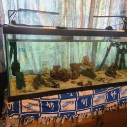 75 Gallon Fish Tank 