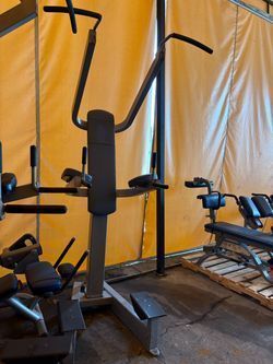 Free Motion VKR Chin Up NEAT CONDITION