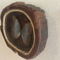 Butterfly Encased In Redwood 