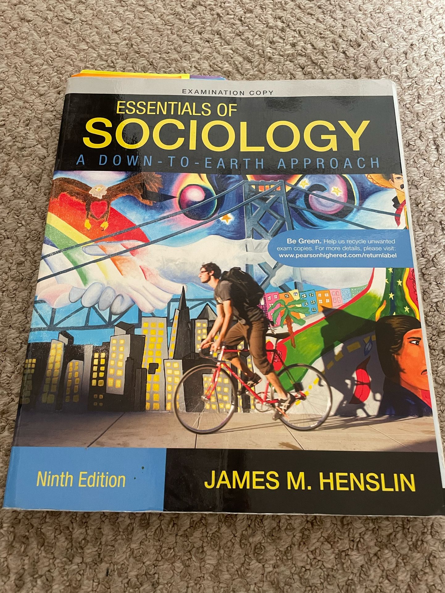 Essentials Of Sociology 9th Edition