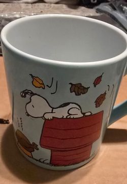 This is a light blue Peanuts ceramic coffee mug